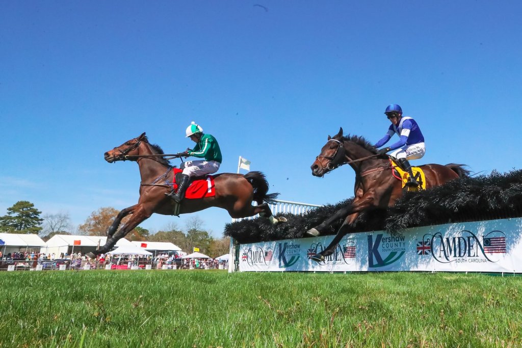 Don't Miss These Must-See Annual Events and Festivals in the Olde English District