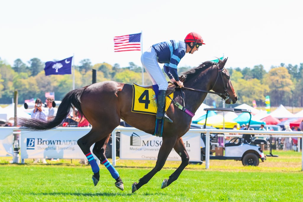 horse racing at the 2024 Carolina Cup