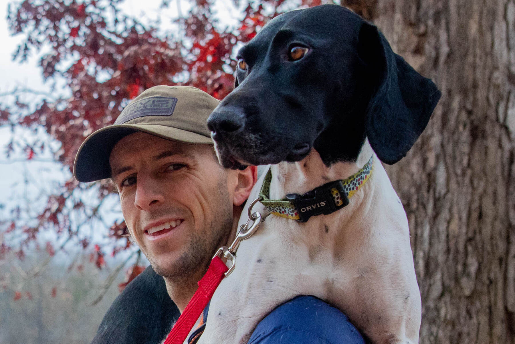 Pet-Friendly Restaurants in South Carolina’s Olde English District