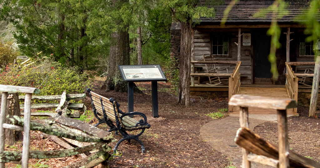 Learn about the seventh President of the United States, Andrew Jackson.