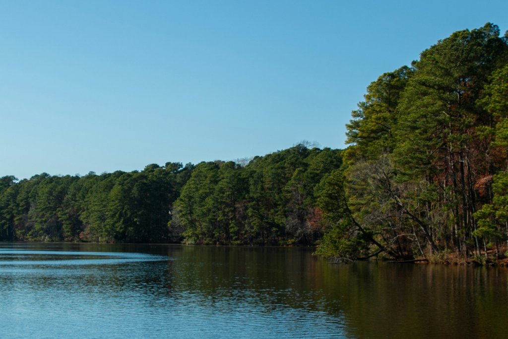 Things To Do at Lake Monticello Park
